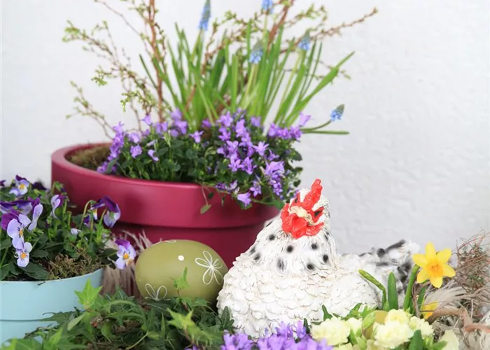 Gartenideen Pflanzenhof Schürg GmbH