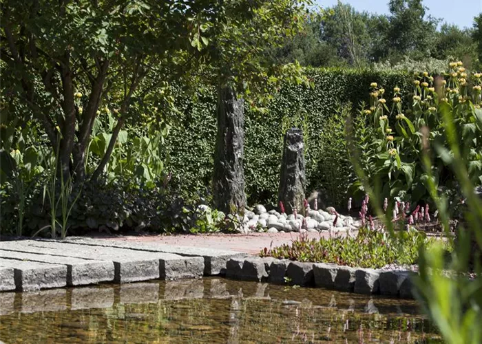 Der Wassergarten - Harmonie und Bewegung zugleich