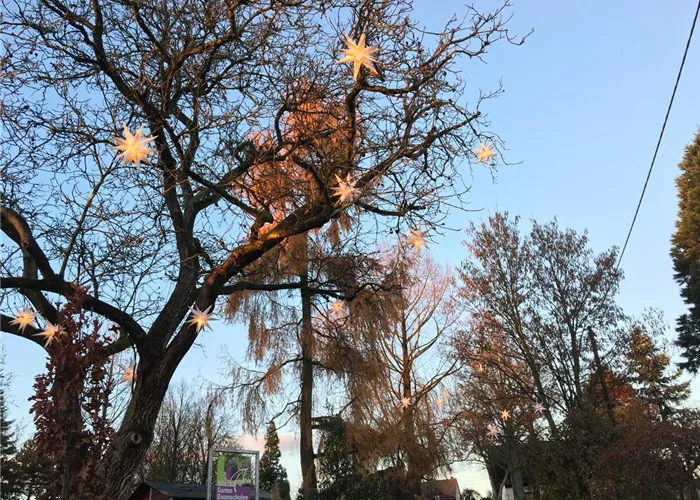 VERKAUFSOFFENER SONNTAG I 09.11.2025