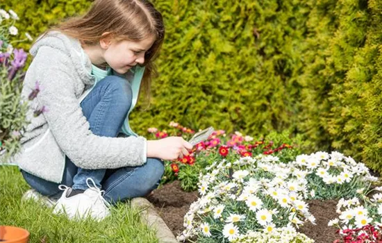 Vorsicht Garten – sichere Pflanzen für Kinder und Tiere
