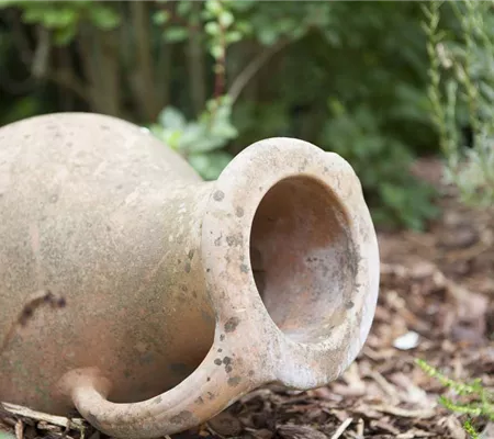 Möchten Sie Ihren Garten umstylen? So geht es ganz schnell 