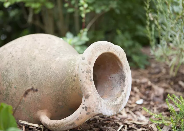 Möchten Sie Ihren Garten umstylen? So geht es ganz schnell 