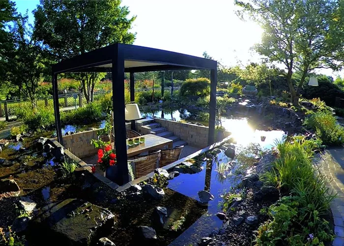 Gartengestaltung - Wassergarten