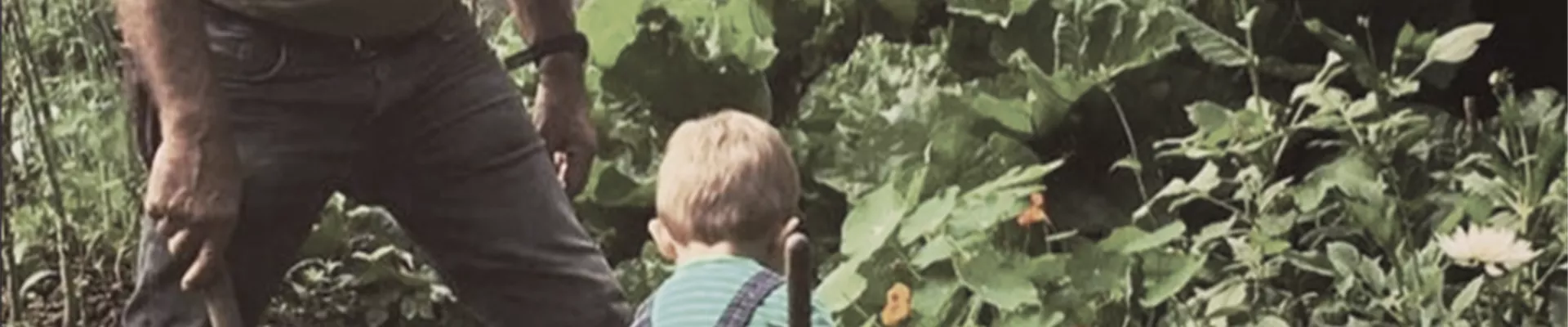 Bildschirmfoto 2021-09-14 um 09.18.52.png