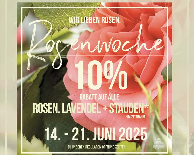 ro Rosenwochen.jpg