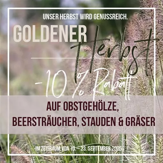 0925 Instagram6-Wiederhergestellt-Wiederhergestellt-Wiederhergestellt.jpg
