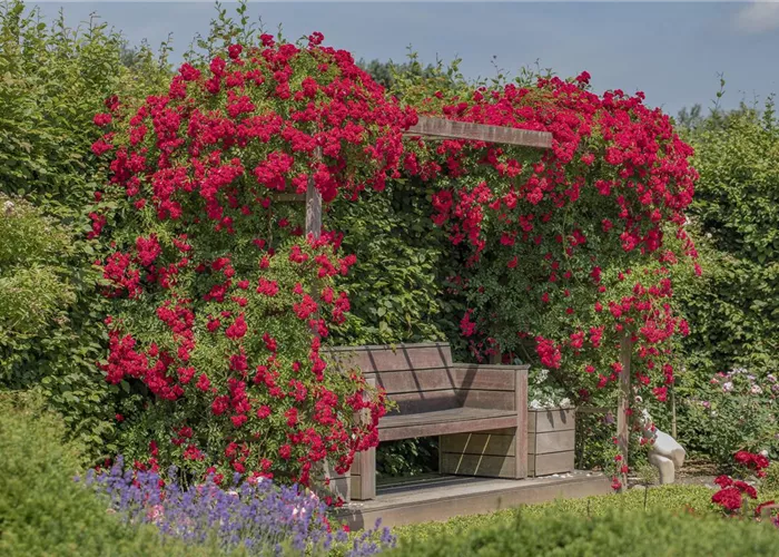 So werden Cottage-Träume wahr