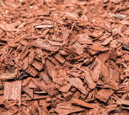Der Mulch macht’s