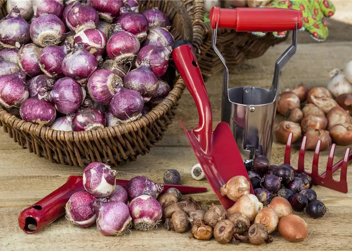 Gartenzubehör – kleine Helfer bei der täglichen Gartenarbeit 